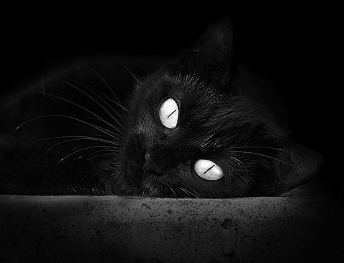 从配角到主宰，贝恩关键爆发助湖人横扫黄蜂