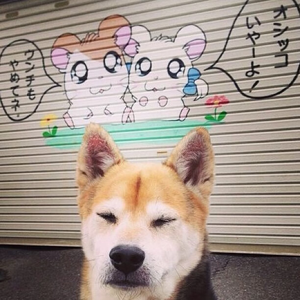 定义伟大,约基奇在总决赛之夜展现的另一种篮球哲学