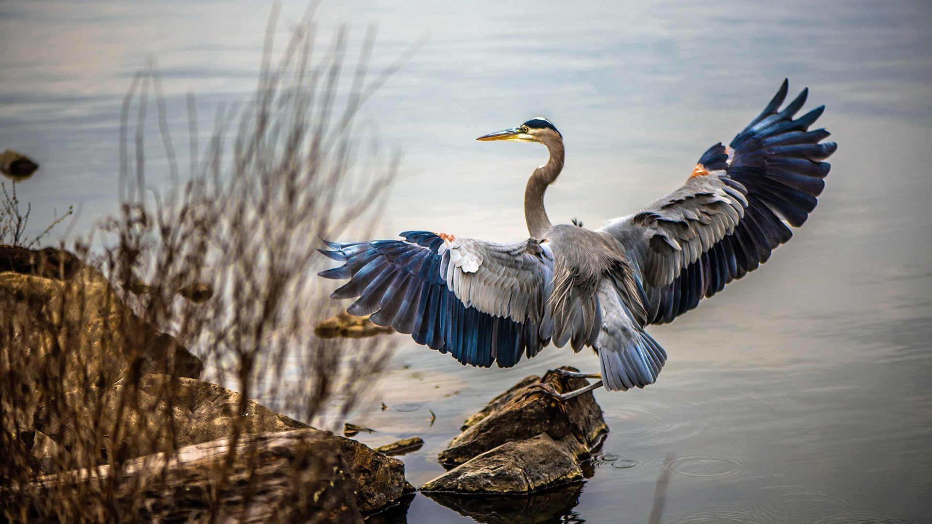 舞台越大越强,巴尔韦德在曼联对阵南非的比赛中闪耀