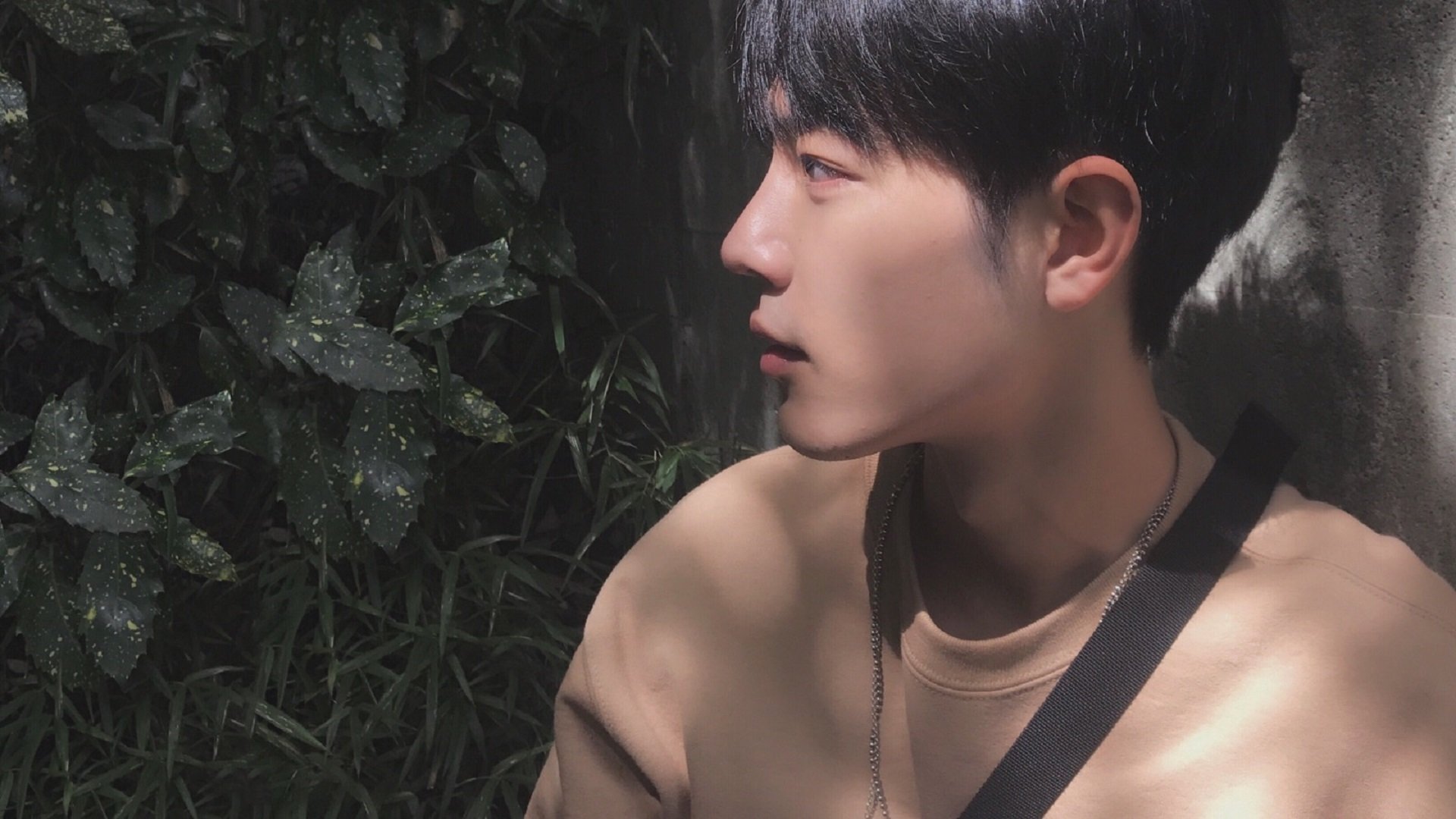 贝恩统治力全开，快船团队压制彰显强队本色