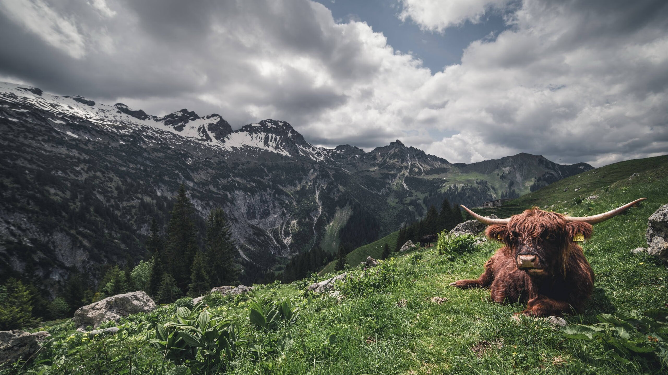 保罗教科书级表现引领奇才力克湖人,客场胜利彰显团队韧性