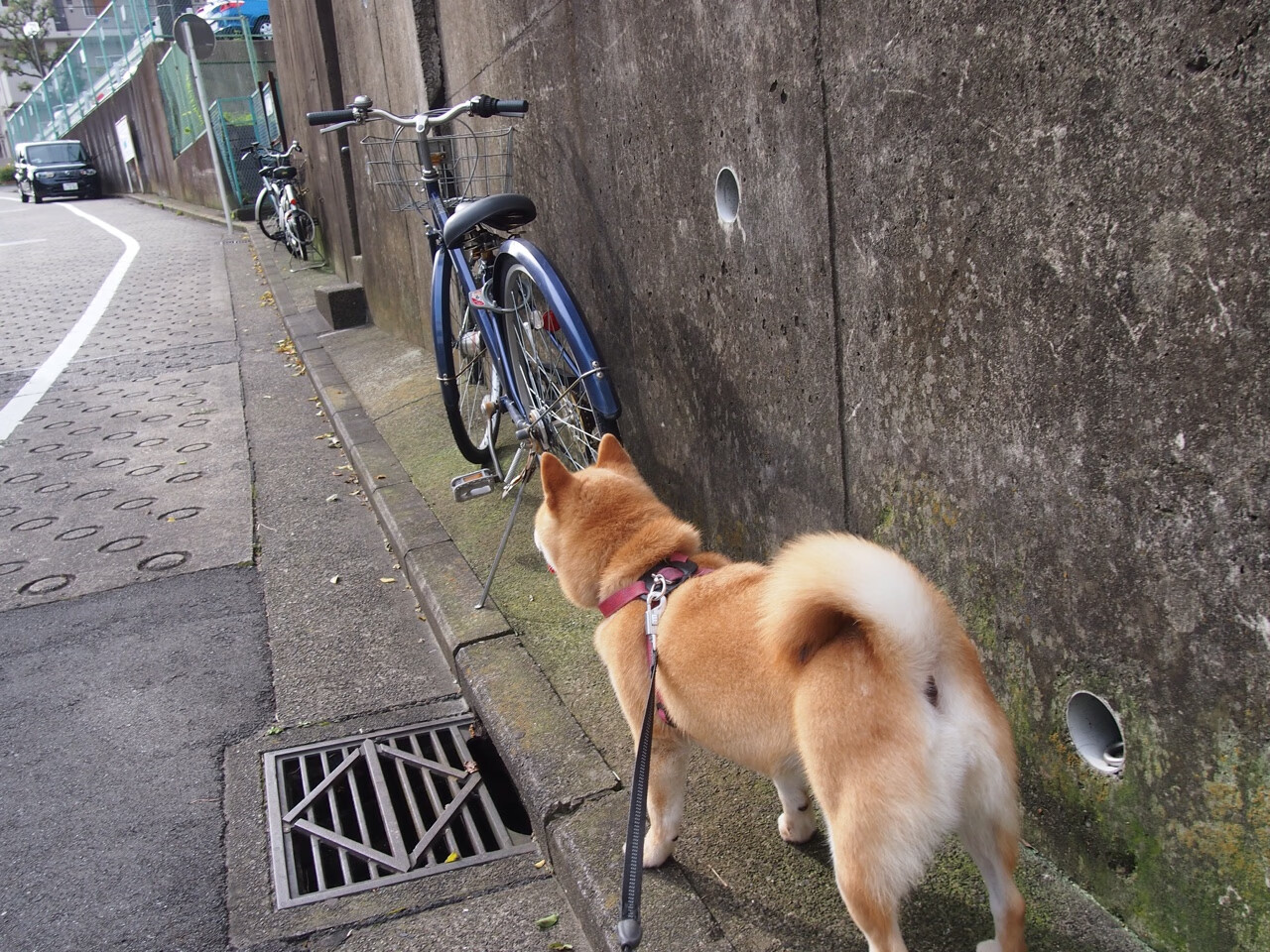 霍勒迪末节统治攻防，魔术险胜勇士夺赛点