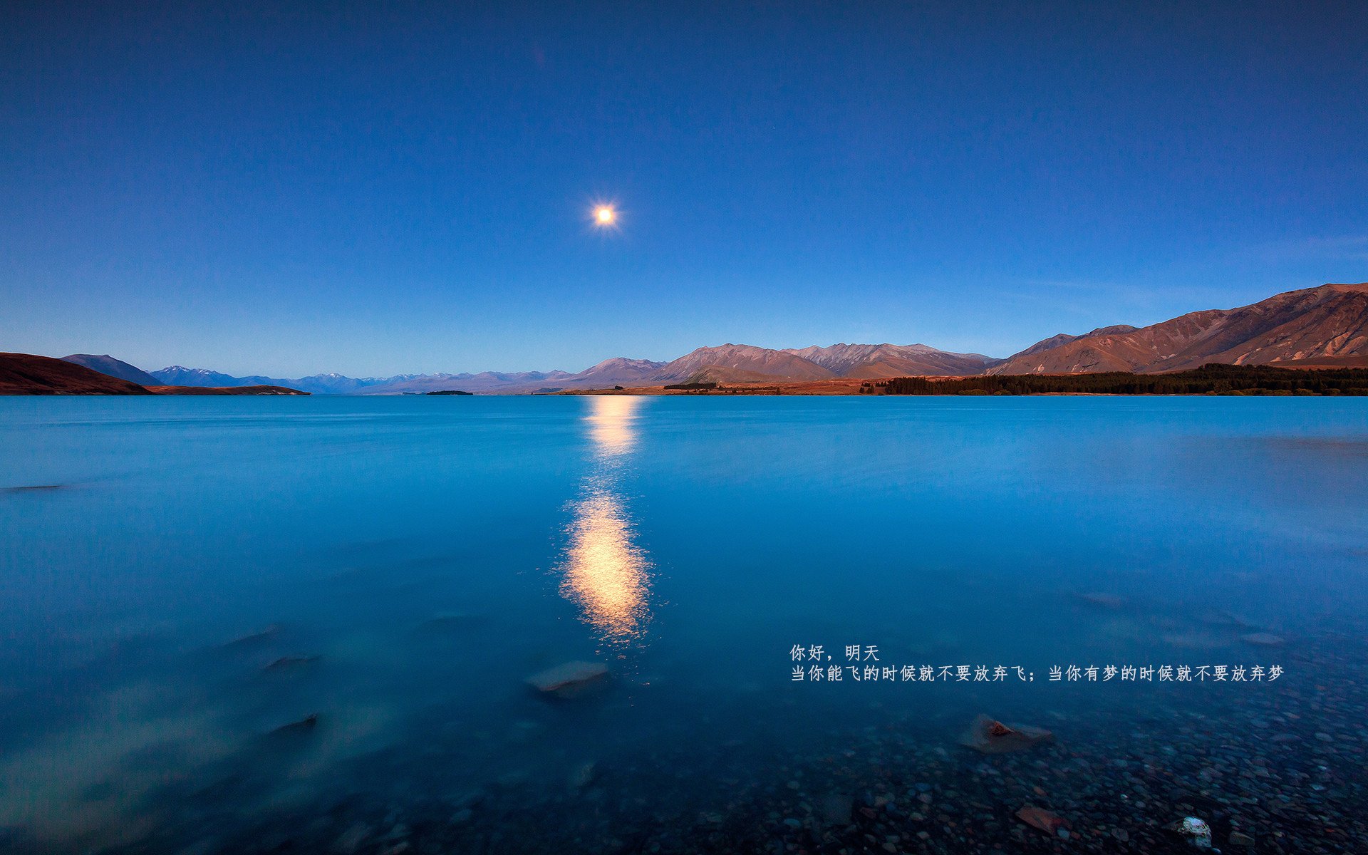 绿茵与硬木的传奇，AC米兰横扫苏格兰，戈麦斯东决主宰战场