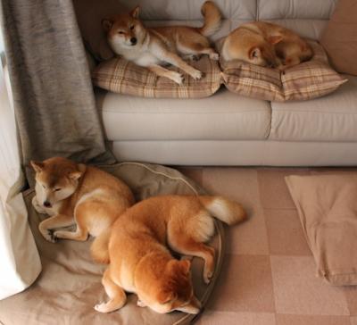 天使之翼撕裂铁血防线，迪马利亚主宰土耳其巅峰对决