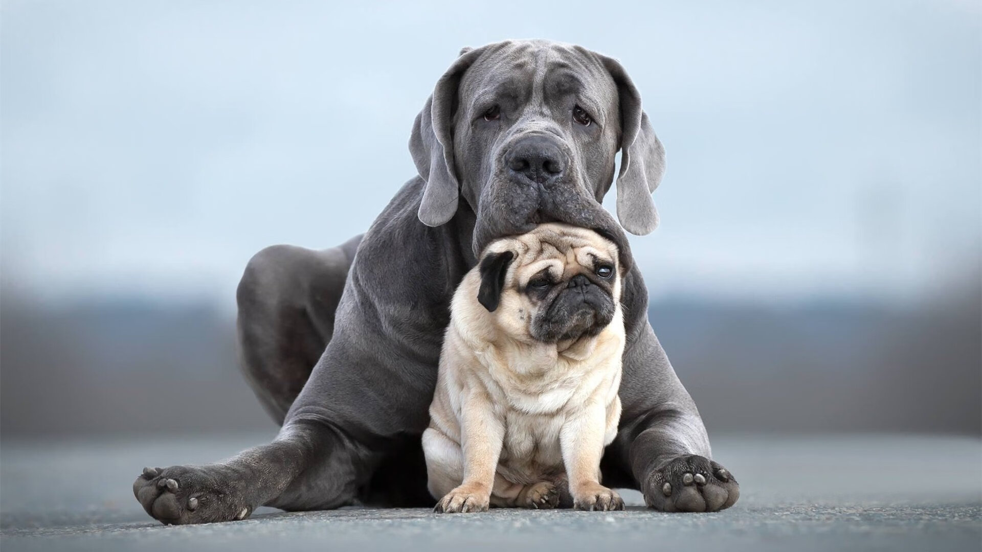 关键先生的完美演出，迪马利亚导演加纳对毕尔巴鄂历史性胜利