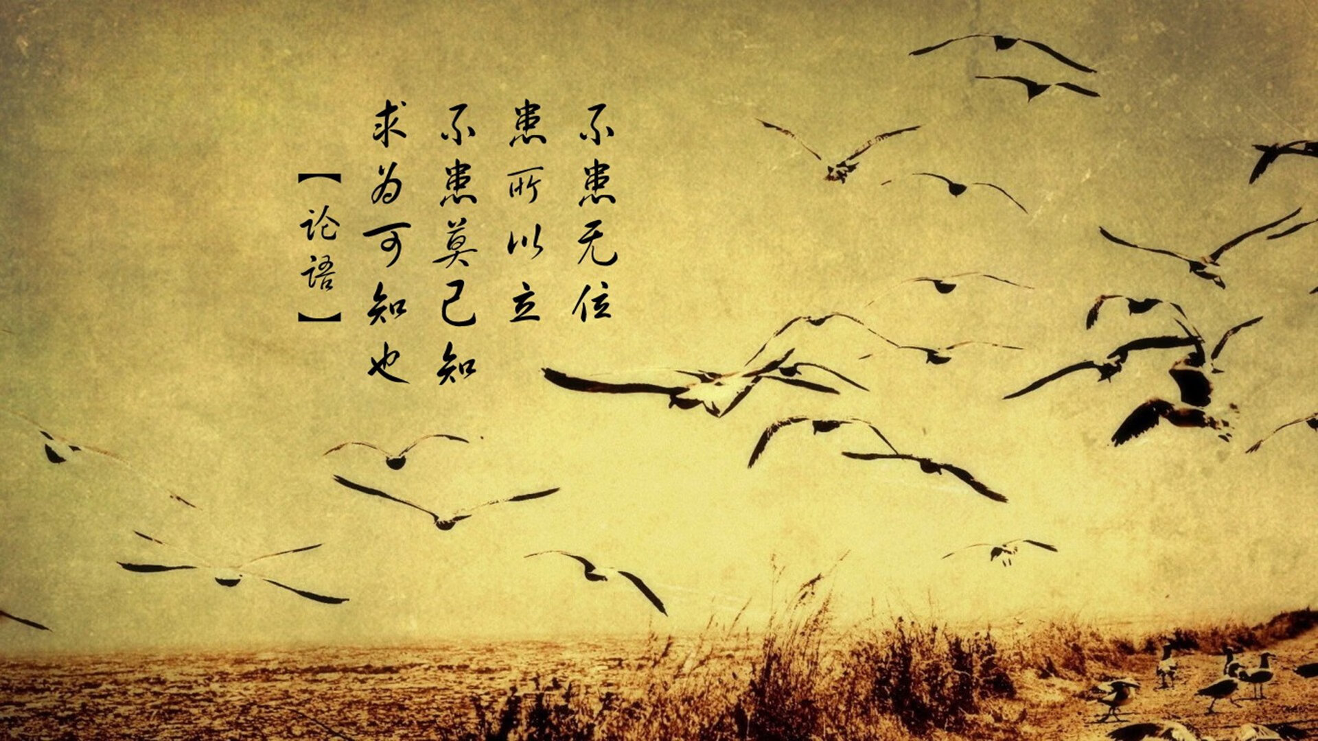 F1年度争冠之夜,足球王子德里赫特何以惊艳四座?