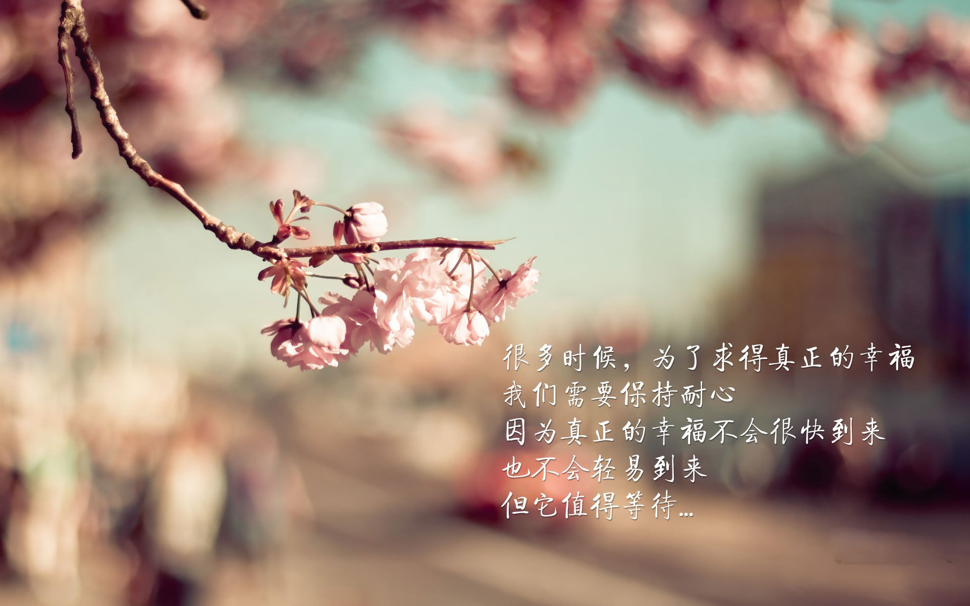 不止一次闪光，劳塔罗与瑞士队告诉你，真正的巨星在黑暗时刻降生