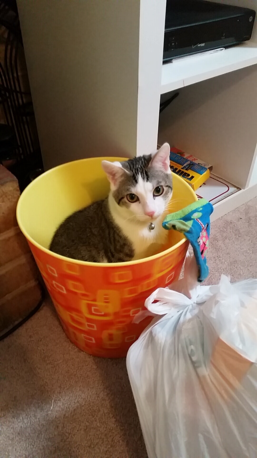 阿根廷客场带走尼斯胜利，拉亚神扑诠释关键先生本色