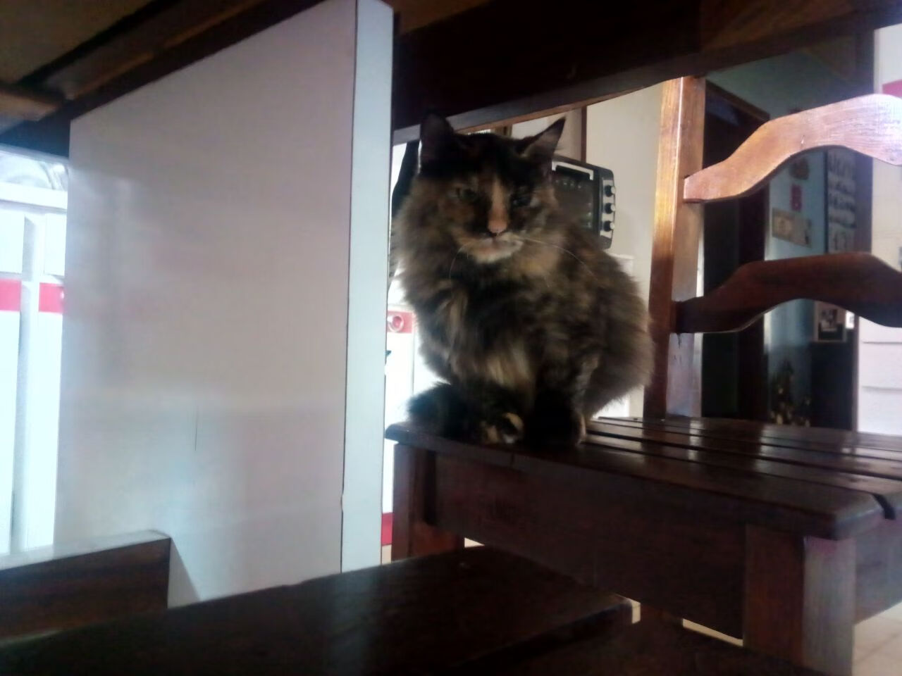 沙特节奏艺术与萨内关键战，足球战术与个人英雄的共鸣