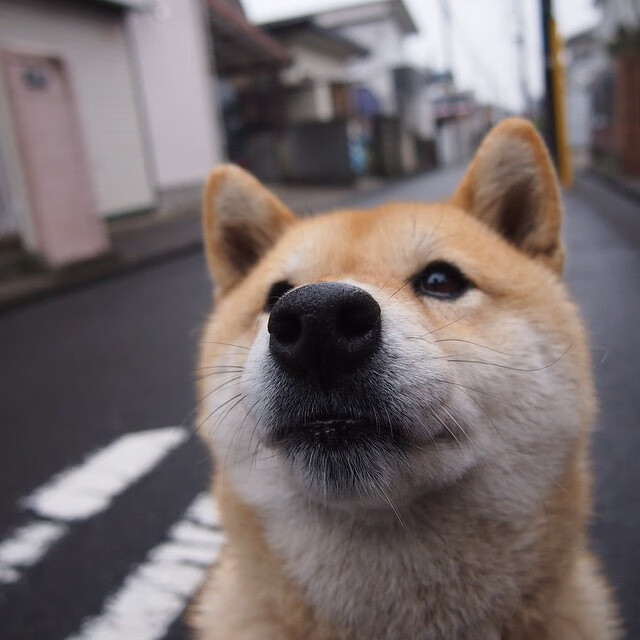 开云体育登录-范弗利特引擎驱动攻防转换，魔术连击波摧垮爵士防线